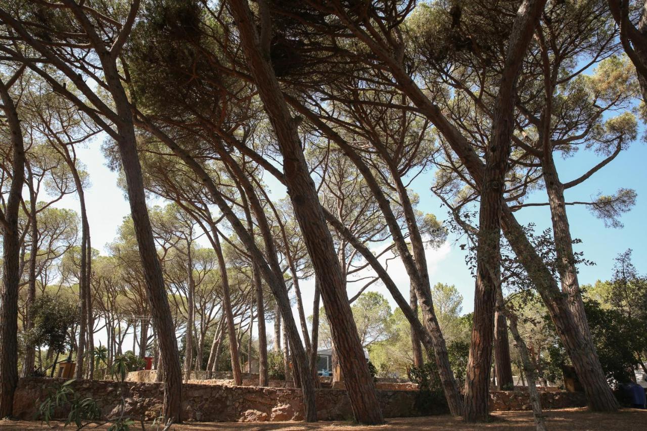 Camping 3 Estrellas Costa Brava Vall-Llobrega Eksteriør bilde